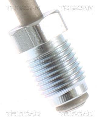 Brake Hose Triscan 8150 292012