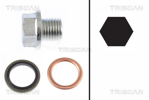 Triscan 9500 1001 Sump plug 95001001