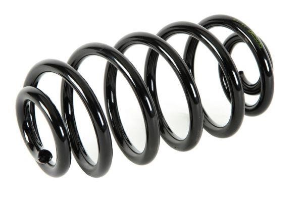 Coil springs Rover: SK058MT Magnum technology Rear coil spring