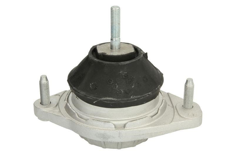 Reinhoch RH11-0021 Engine mount RH110021