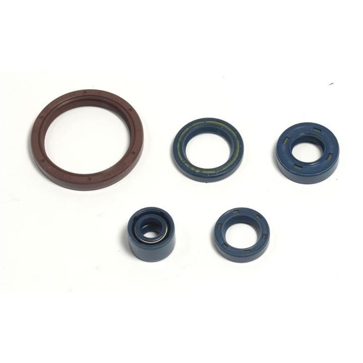 P400220400255 Athena Engine Oil Seals Kit