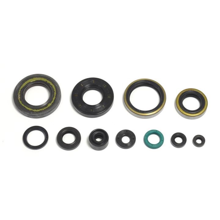 P400250400256 Athena Full Gasket Set, engine