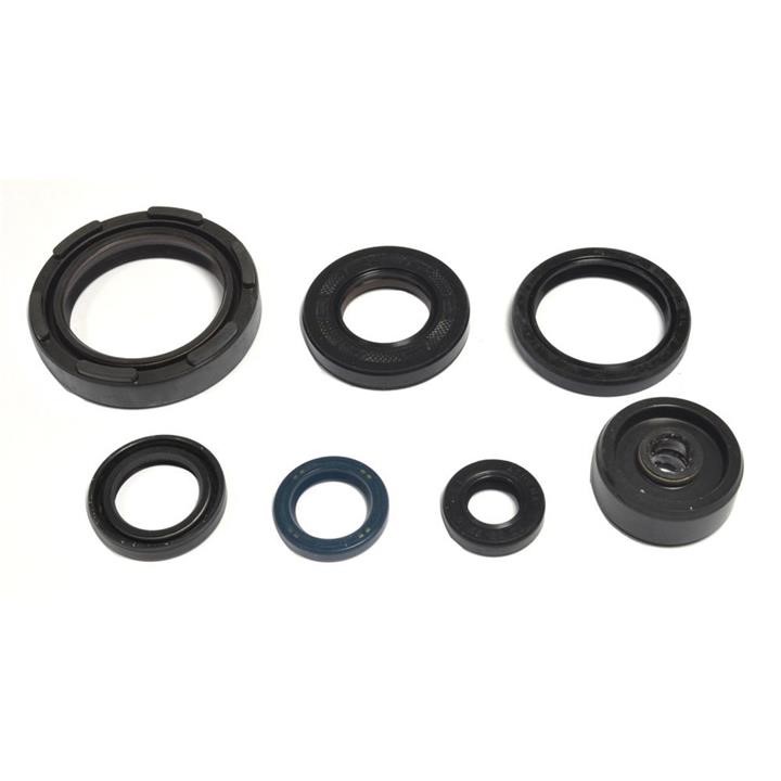 P400485400254 Athena Full Gasket Set, engine