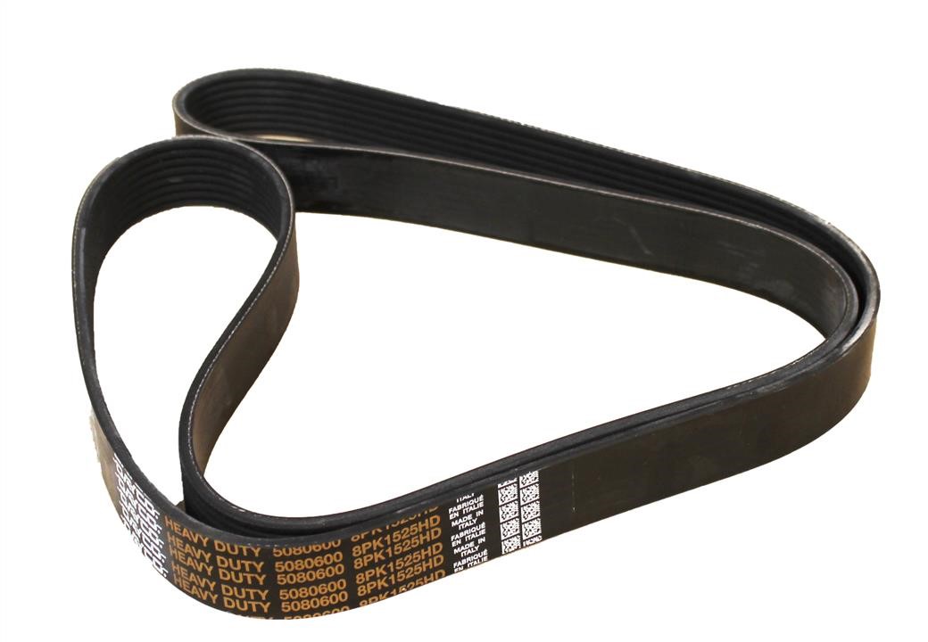 Dayco 8PK1525HD V-ribbed belt 8PK1525 8PK1525HD