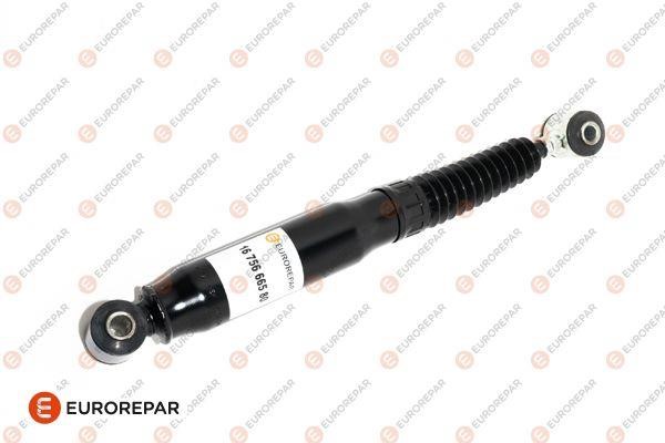 Eurorepar 1675666580 Gas-oil suspension shock absorber 1675666580