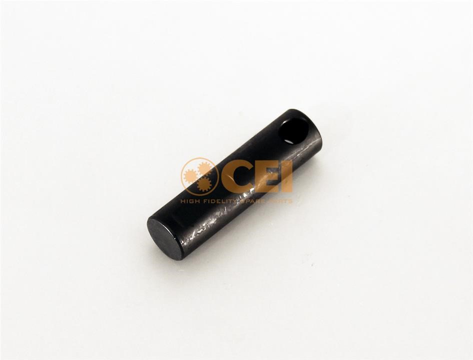 107279 C.E.I. Differential repair kit