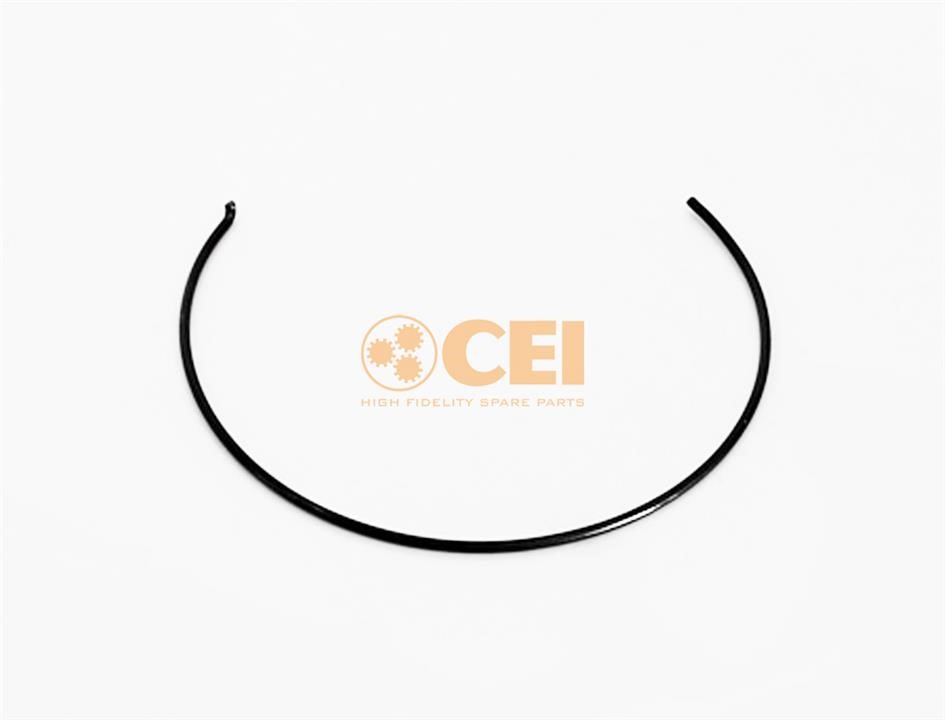 C.E.I. 111.205 Locking Ring, fuel pump 111205