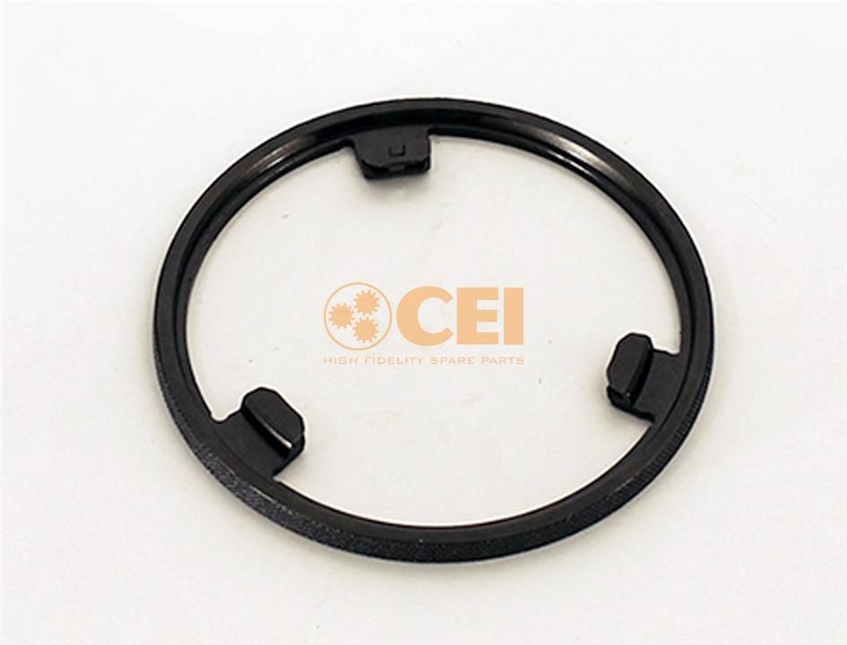 119335 C.E.I. Ring synchronizer