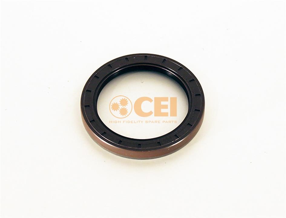 C.E.I. 139.611 Oil seal 139611