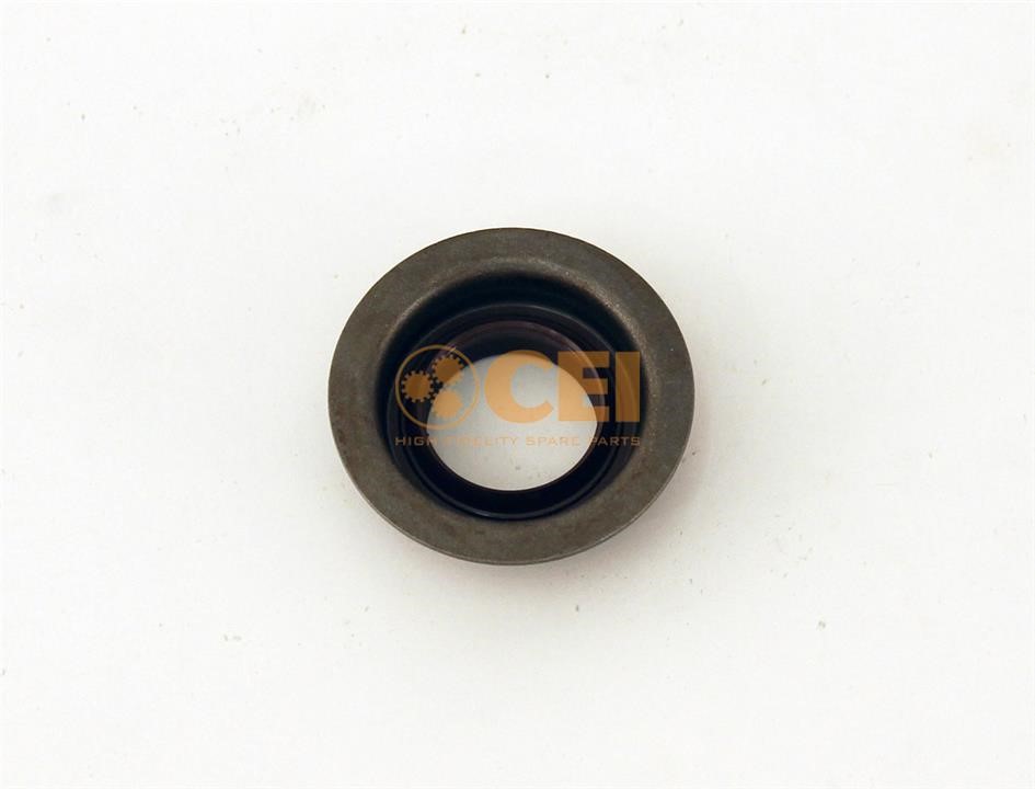 C.E.I. 139.655 Oil seal 139655