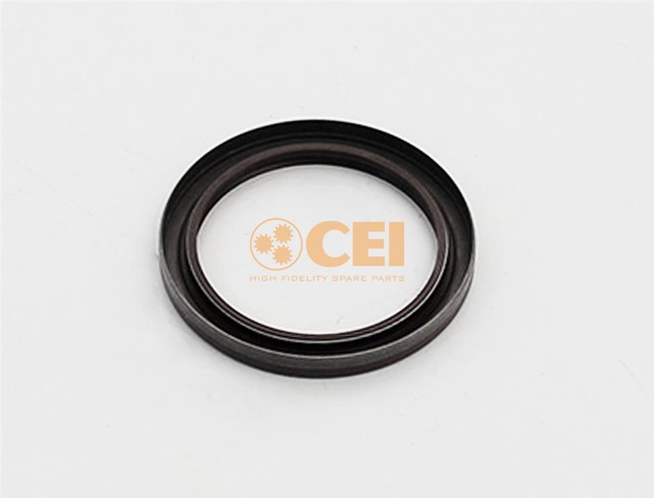 C.E.I. 139866 Oil seal 139866