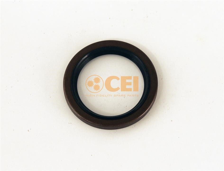 C.E.I. 139.879 Oil seal 139879