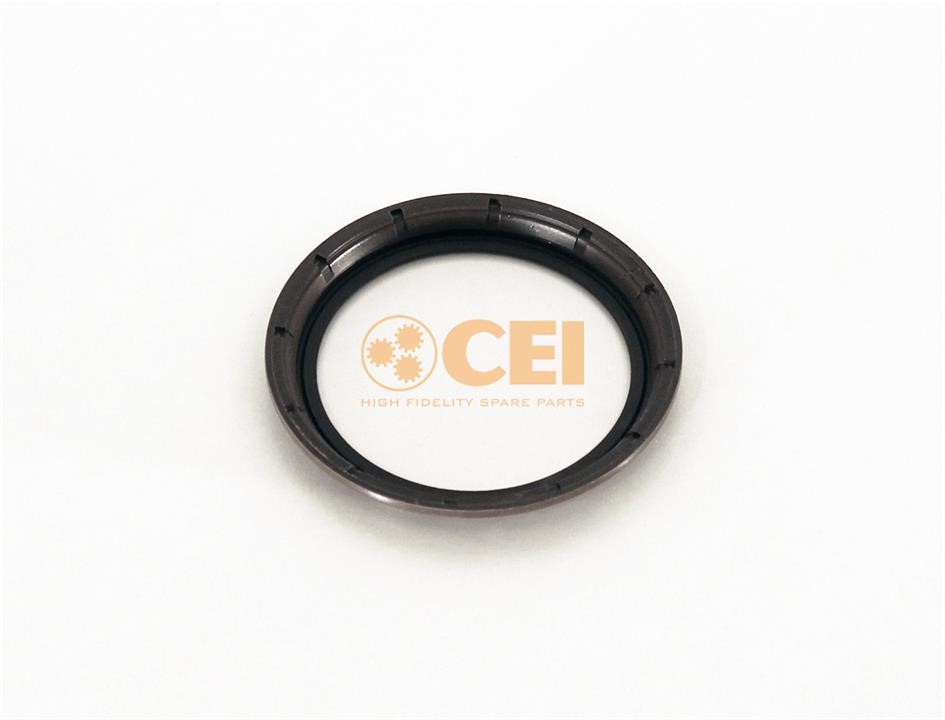 139554 C.E.I. Oil seal