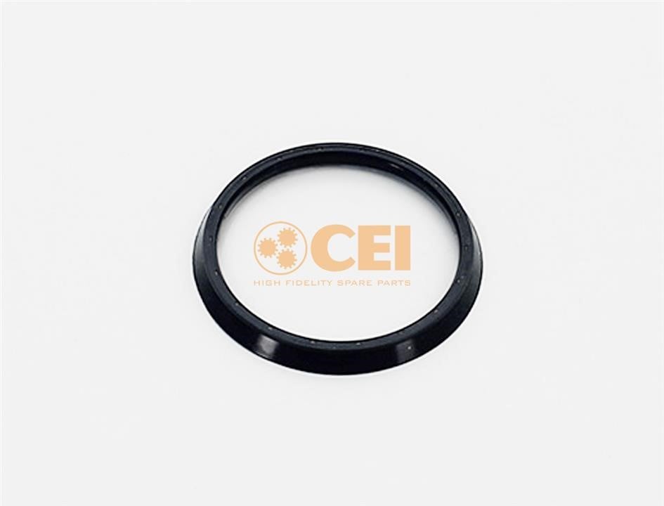 C.E.I. 139.561 Oil seal 139561