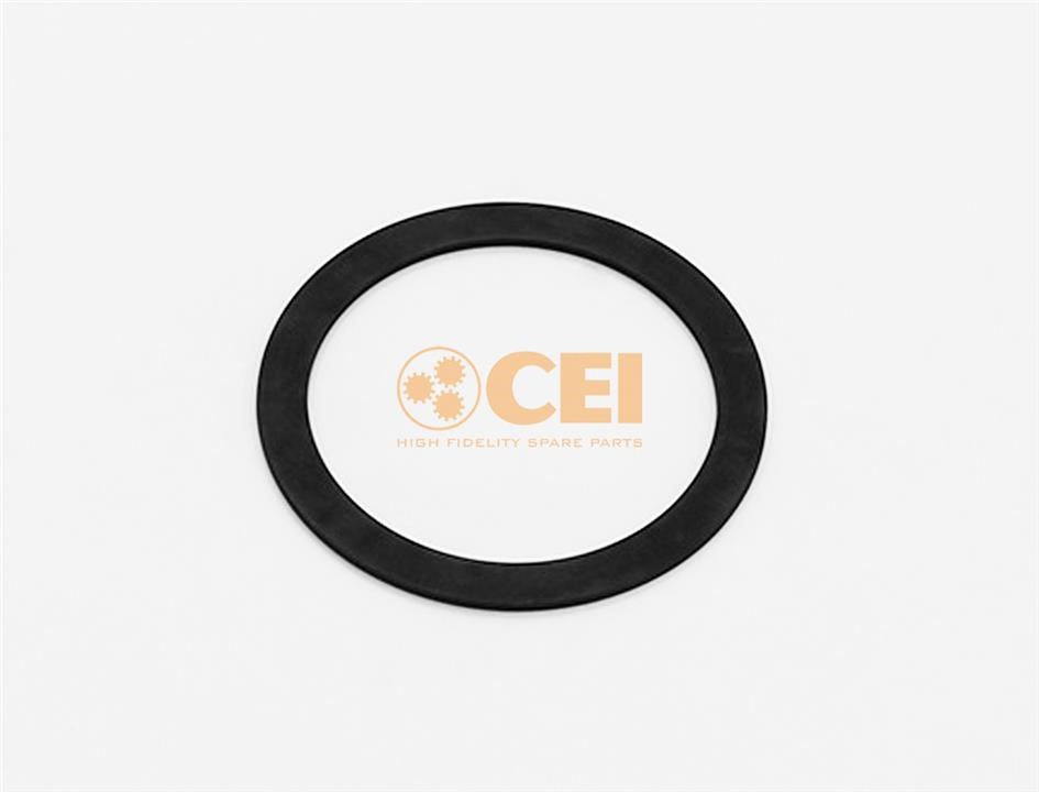 169797 C.E.I. Gasket