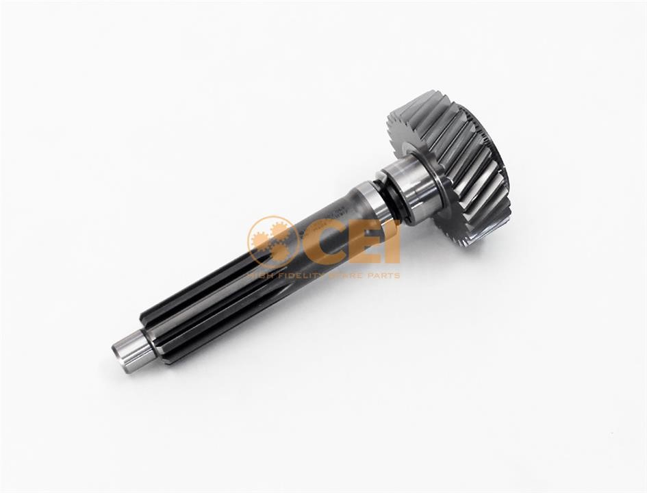 190531 C.E.I. Primary shaft