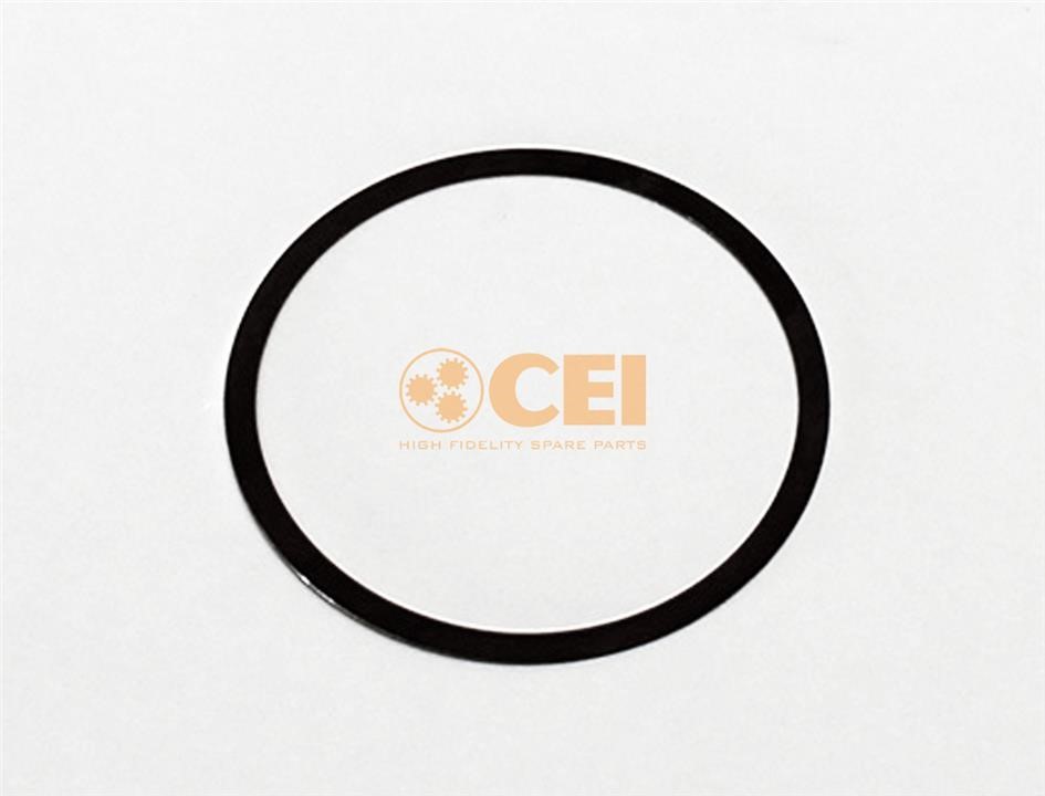 269687 C.E.I. Spacer disc