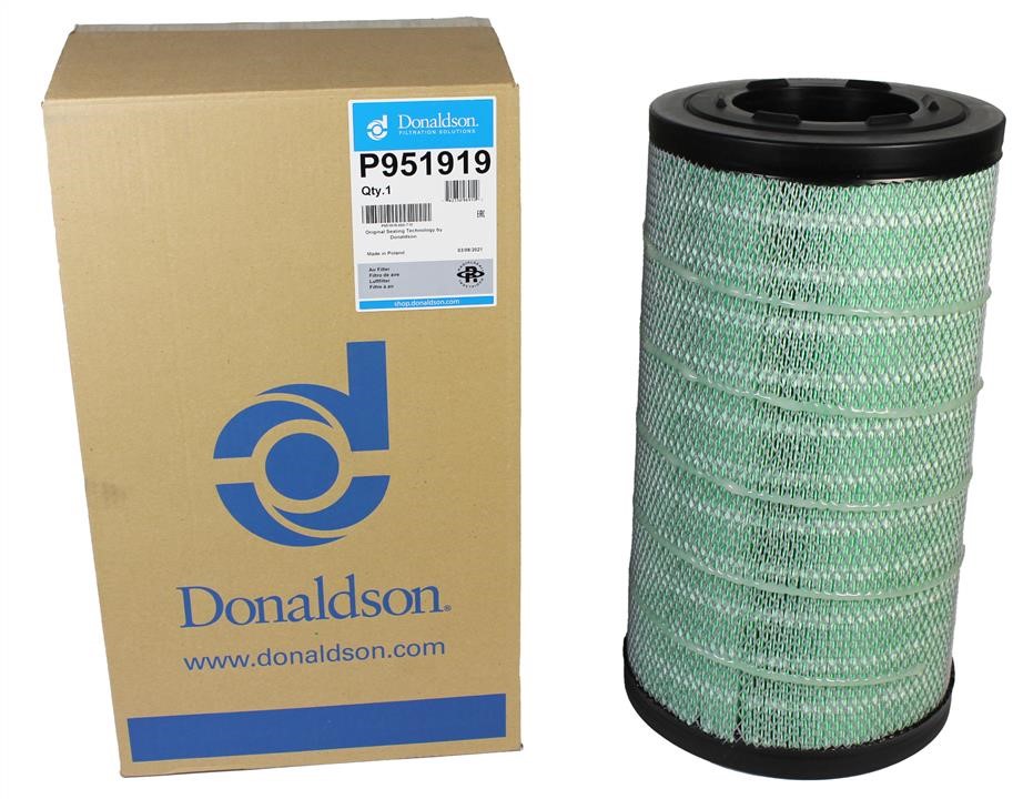 Buy Donaldson P951919 at a low price in United Arab Emirates!