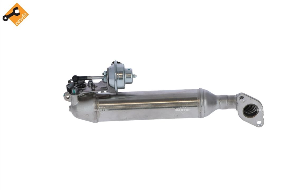 EGR Valve NRF 48313