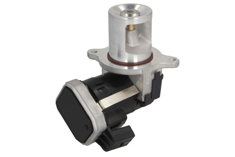 exhaust-gas-recirculation-valve-ent500156-48408061