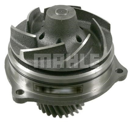 Mahle/Behr CP 507 000S Water pump CP507000S