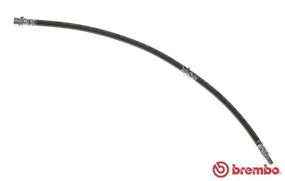 Buy Brembo T 06 037 at a low price in United Arab Emirates!