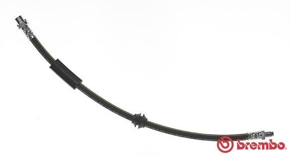 Buy Brembo T 06 038 at a low price in United Arab Emirates!