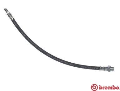 Buy Brembo T 06 047 at a low price in United Arab Emirates!
