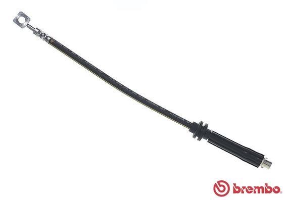 Buy Brembo T 10 017 at a low price in United Arab Emirates!