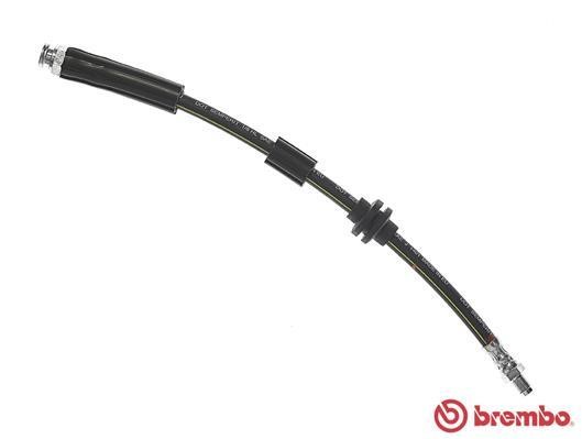 Buy Brembo T 23 181 at a low price in United Arab Emirates!