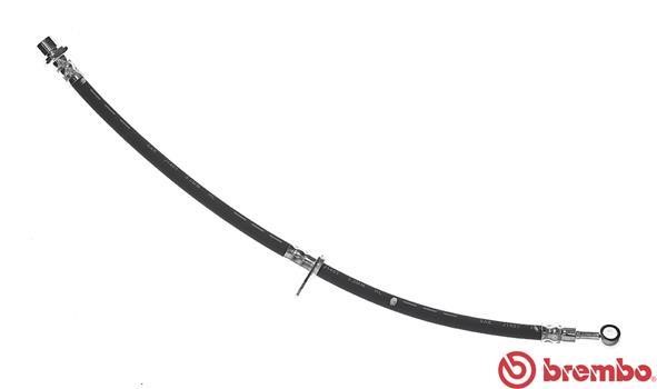 Buy Brembo T 28 092 at a low price in United Arab Emirates!
