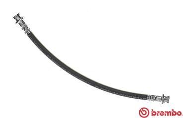 Buy Brembo T 56 141 at a low price in United Arab Emirates!