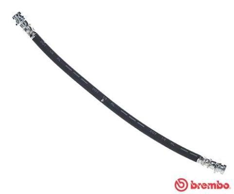 Buy Brembo T 59 082 at a low price in United Arab Emirates!