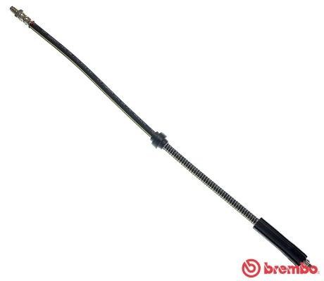 Brake Hose Brembo T 61 021