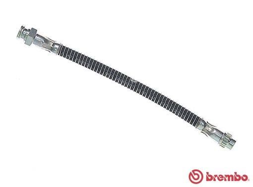 Brake Hose Brembo T 61 053