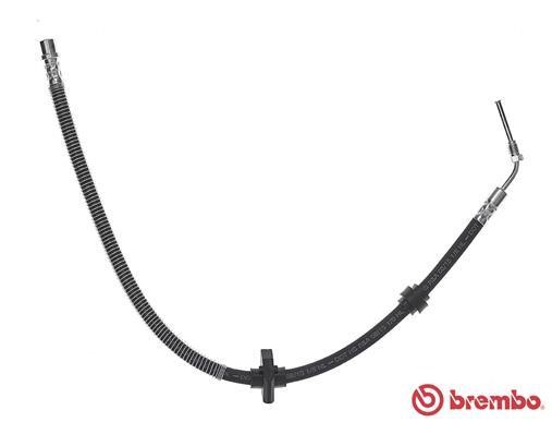 Brake Hose Brembo T 61 059