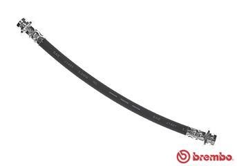 Buy Brembo T 79 031 at a low price in United Arab Emirates!