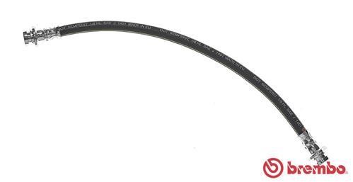 Buy Brembo T 79 038 at a low price in United Arab Emirates!
