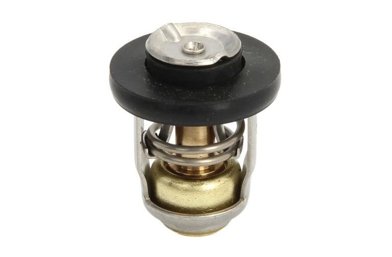 183541 Sierra Coolant thermostat