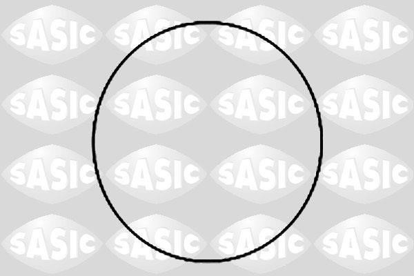 Sasic 1950007 O-rings for cylinder liners, kit 1950007