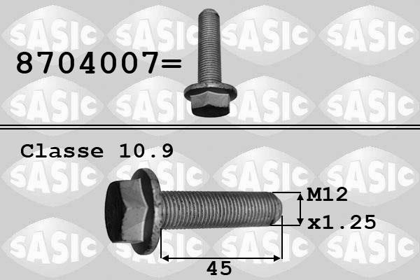 Sasic 8704007 Crankshaft pulley pulley fastening bolt 8704007