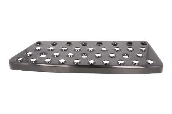 MANFS004L Pacol Step