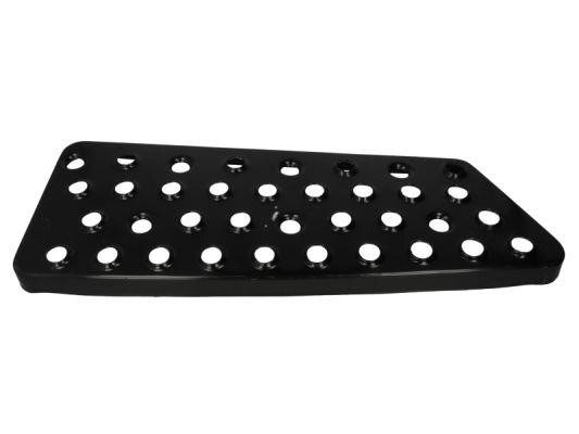 MANFS004R Pacol Step