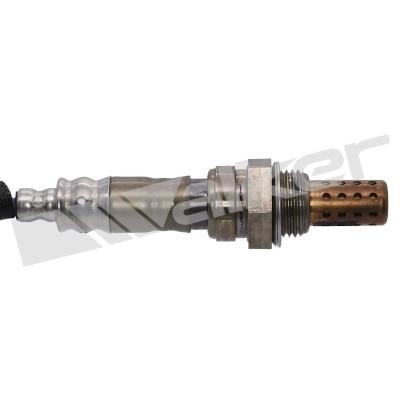 Walker Lambda sensor – price