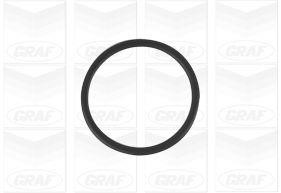 Buy Graf PA1256 at a low price in United Arab Emirates!