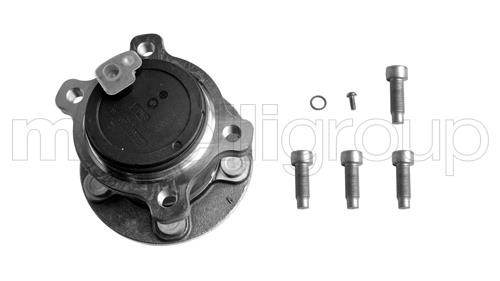 Cifam 619-2920 Wheel bearing kit 6192920