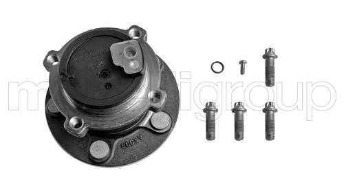 Cifam 619-2922 Wheel bearing kit 6192922