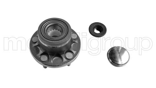 Cifam 619-2924 Wheel bearing kit 6192924