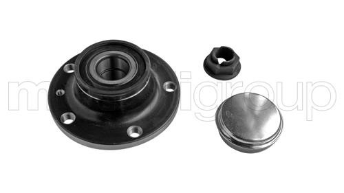 Cifam 619-2951 Wheel bearing kit 6192951