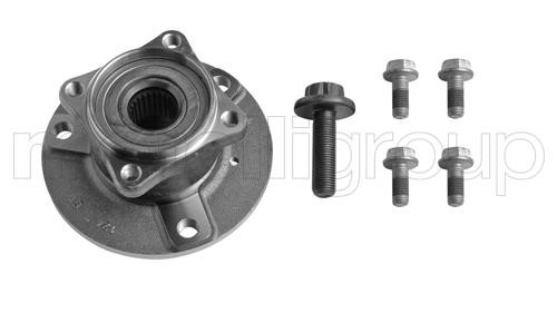 Cifam 619-2965 Wheel bearing kit 6192965